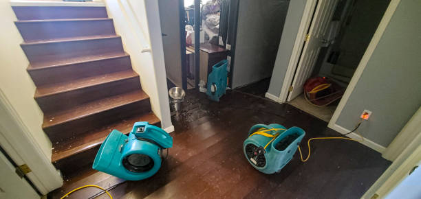 Best Water damage contractors near me  in Audubon Park, KY
