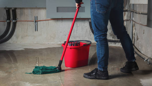 Best Water damage restoration process  in Audubon Park, KY