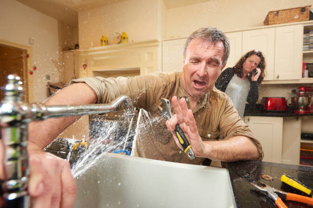 Best Flood restoration services  in Audubon Park, KY